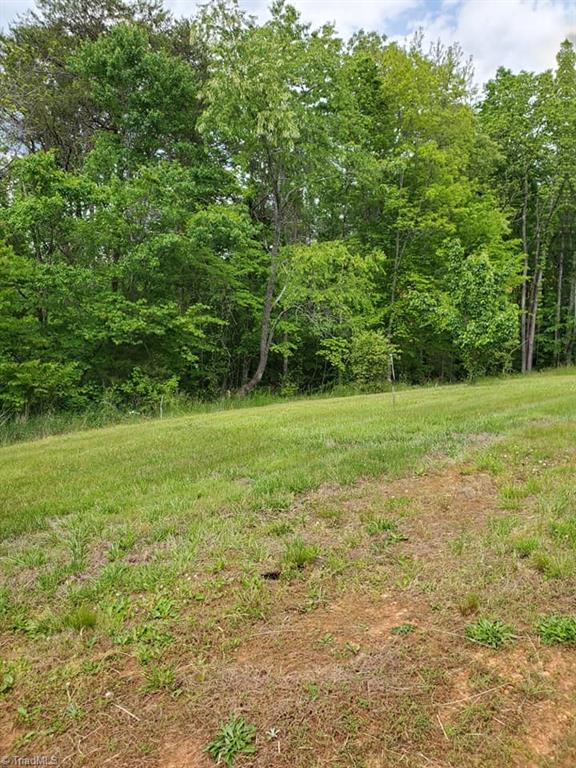 0 Rierson Road Tobaccoville, NC 27050 - Photo 14 of 16 Gallery Image 14