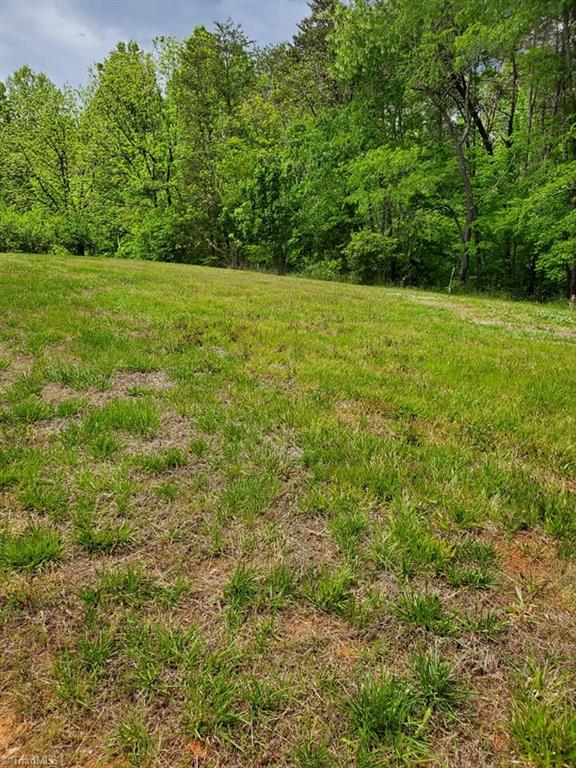 0 Rierson Road Tobaccoville, NC 27050 - Photo 4 of 16 Gallery Image 4