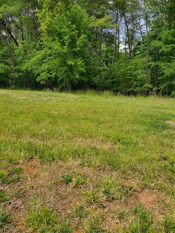 0 Rierson Road Tobaccoville, NC 27050 - Photo 5 of 16 Gallery Image 5