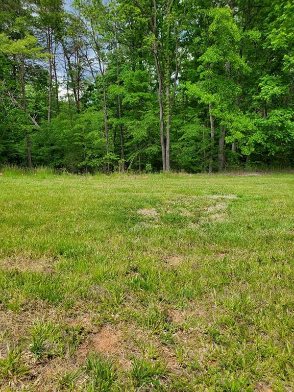 0 Rierson Road Tobaccoville, NC 27050 - Photo 6 of 16 Gallery Image 6