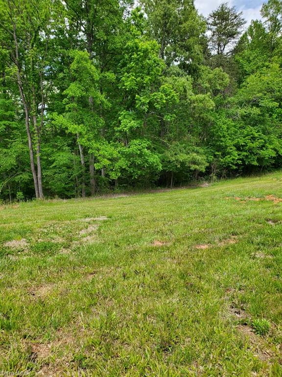 0 Rierson Road Tobaccoville, NC 27050 - Photo 7 of 16 Gallery Image 7