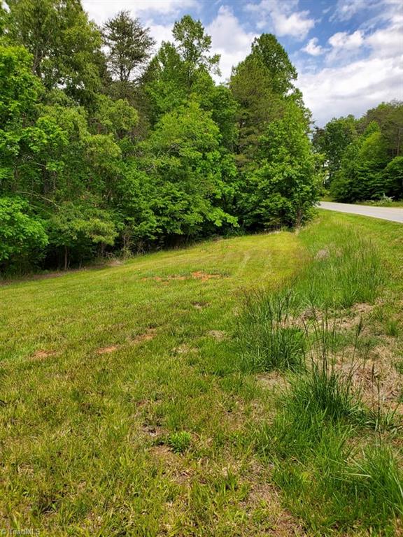 0 Rierson Road Tobaccoville, NC 27050 - Photo 8 of 16 Gallery Image 8