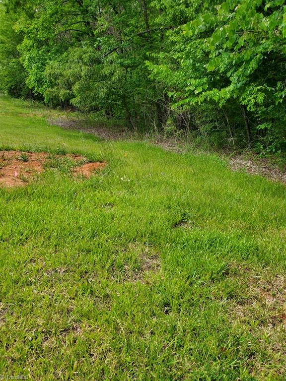 0 Rierson Road Tobaccoville, NC 27050 - Photo 9 of 16 Gallery Image 9