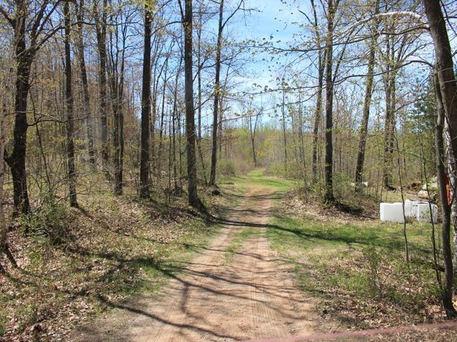 19081 Erickson Drive Dunbar, WI 54119 - Photo 18 of 87