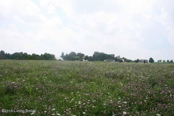 763 Drennon Road New Castle, KY 40050 - Photo 4 of 32 IMG_5389