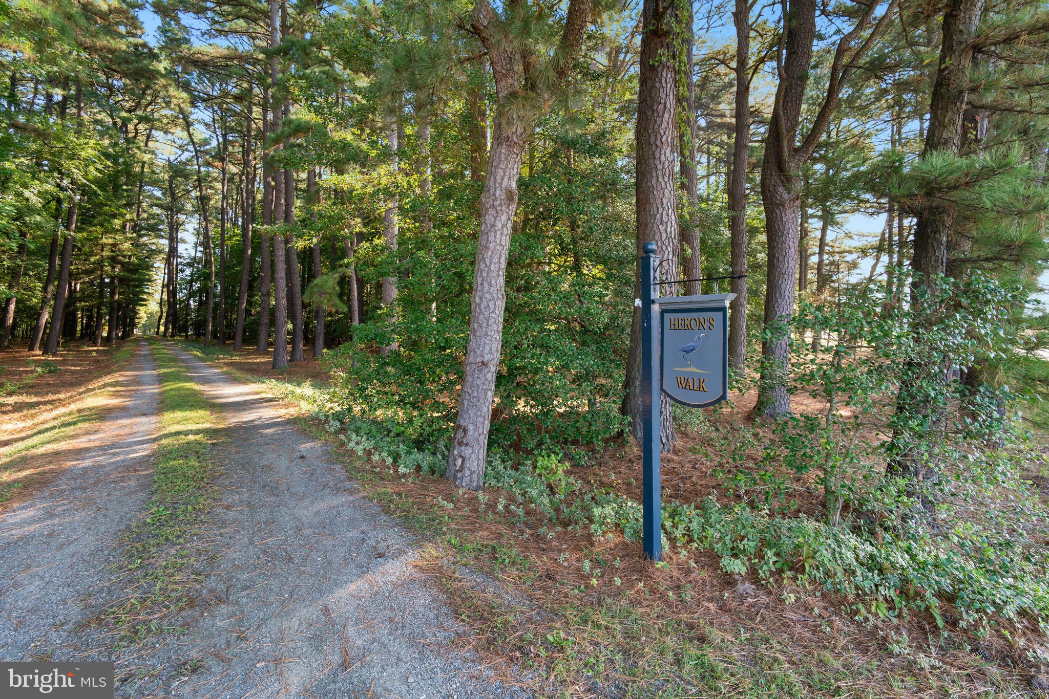 22772 Colonel Leonard Road Rock Hall, MD 21661 - Photo 37 of 47 Gallery Image 37