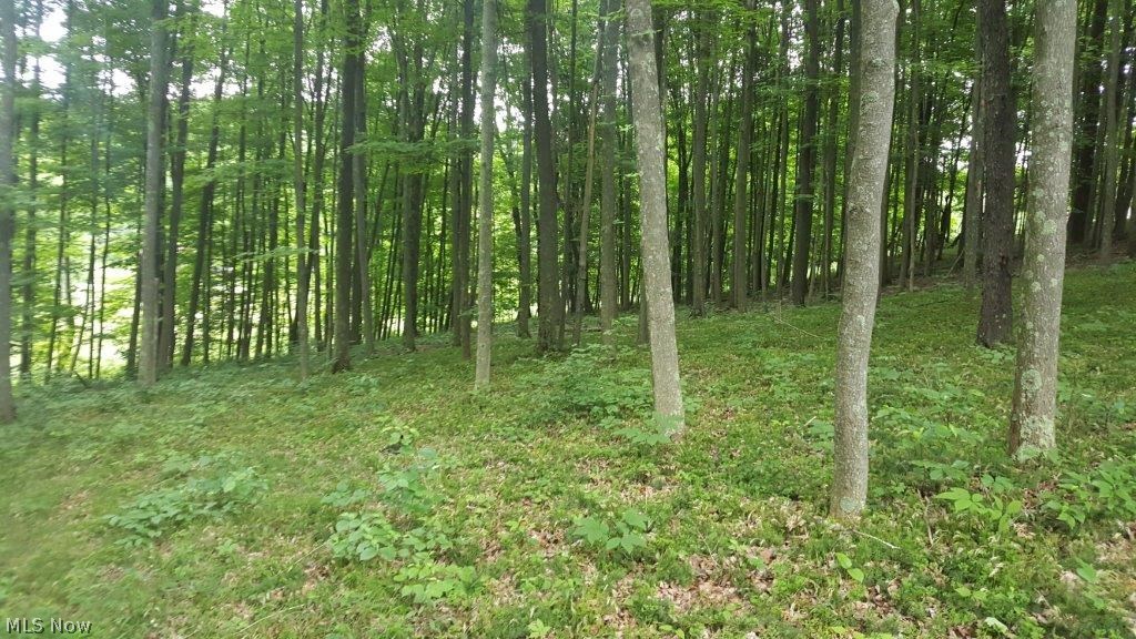 5846 Holmes Church Road Northeast New Philadelphia, OH 44663 - Photo 3 of 34