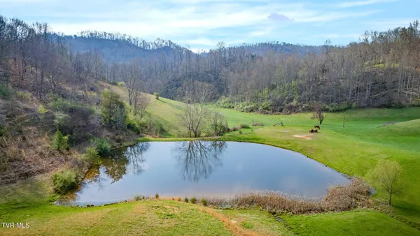 $1,700,000 | 341 Hawk Drive, Gate City, VA 24251