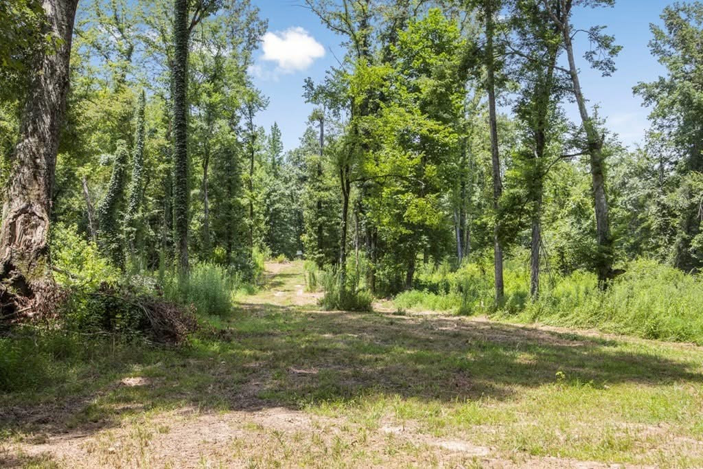 1602 Patterson Road Yazoo City, MS 39194 - Photo 15 of 30 Photo 15