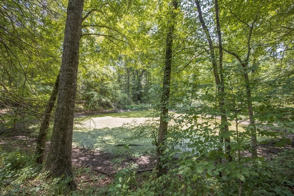 1602 Patterson Road Yazoo City, MS 39194 - Photo 16 of 30 Photo 16