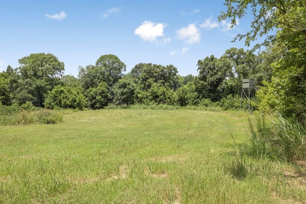 1602 Patterson Road Yazoo City, MS 39194 - Photo 18 of 30 Photo 18