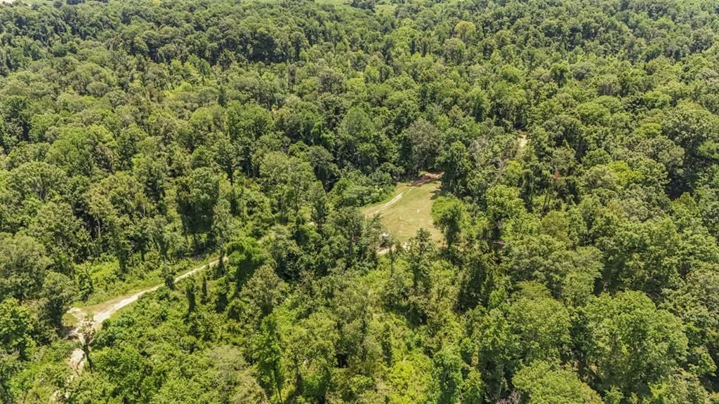 1602 Patterson Road Yazoo City, MS 39194 - Photo 21 of 30 Photo 22