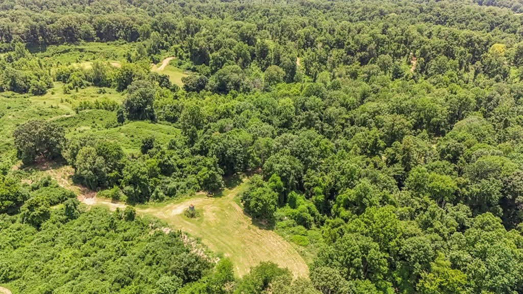 1602 Patterson Road Yazoo City, MS 39194 - Photo 22 of 30 Photo 23
