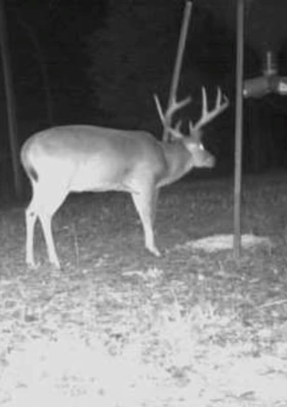 1602 Patterson Road Yazoo City, MS 39194 - Photo 23 of 30 Photo 24
