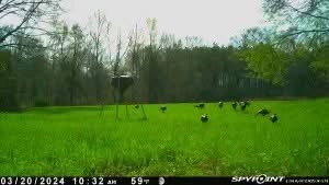 1602 Patterson Road Yazoo City, MS 39194 - Photo 24 of 30 Photo 25