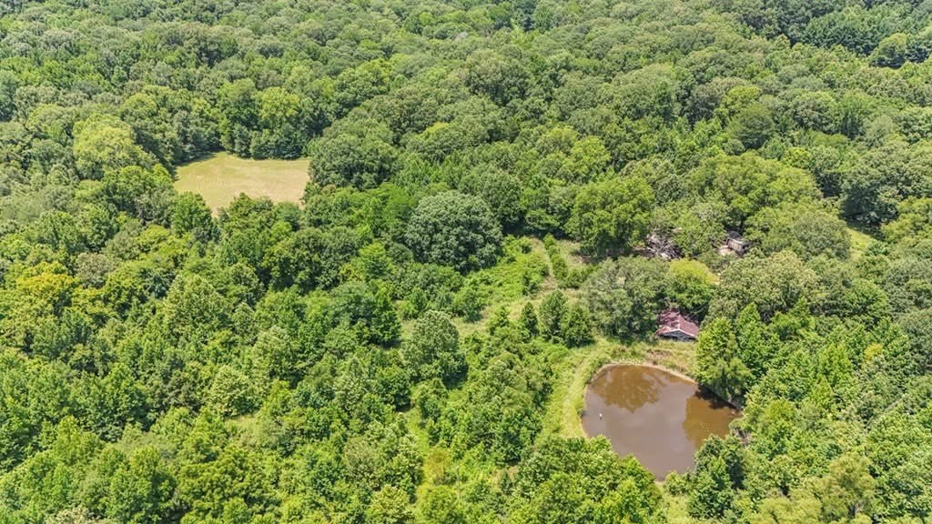 1602 Patterson Road Yazoo City, MS 39194 - Photo 3 of 30 Photo 3