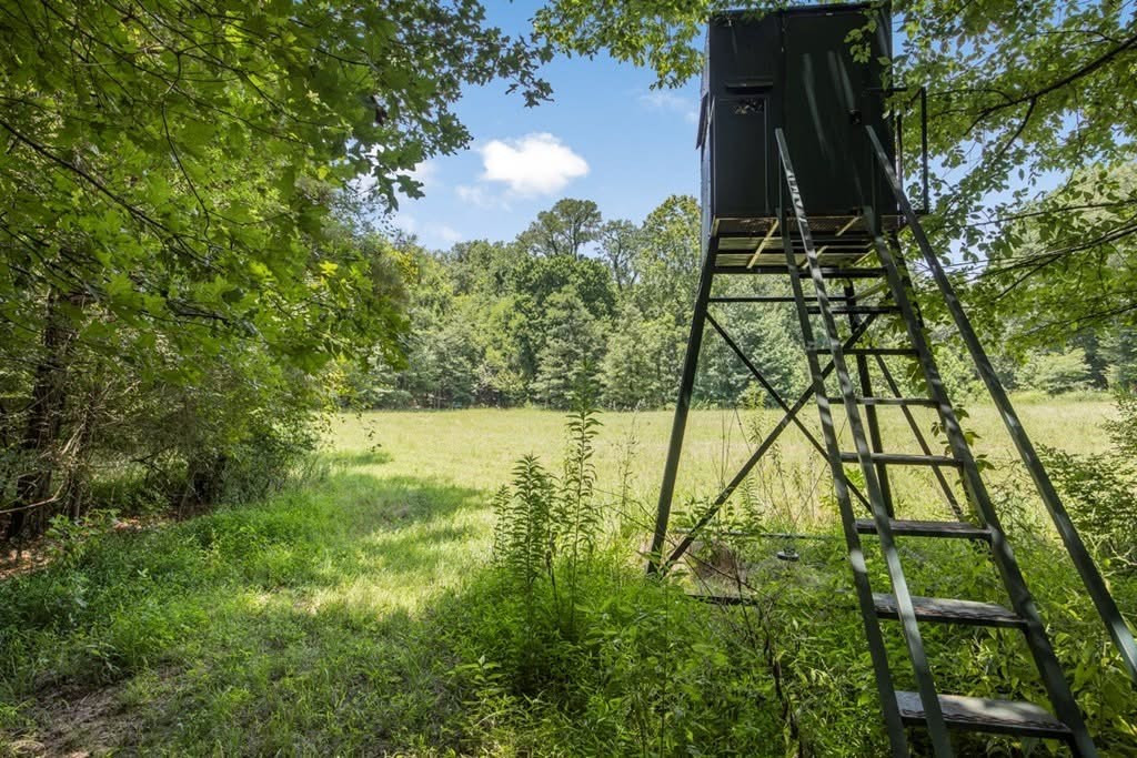 1602 Patterson Road Yazoo City, MS 39194 - Photo 4 of 30 Photo 4