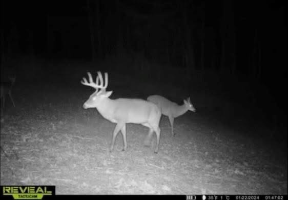 1602 Patterson Road Yazoo City, MS 39194 - Photo 6 of 30 Photo 6