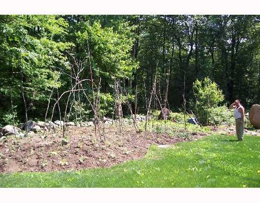 686 Chopmist Hill Road Glocester, RI 02857 - Photo 8 of 8 Yard/Garden.