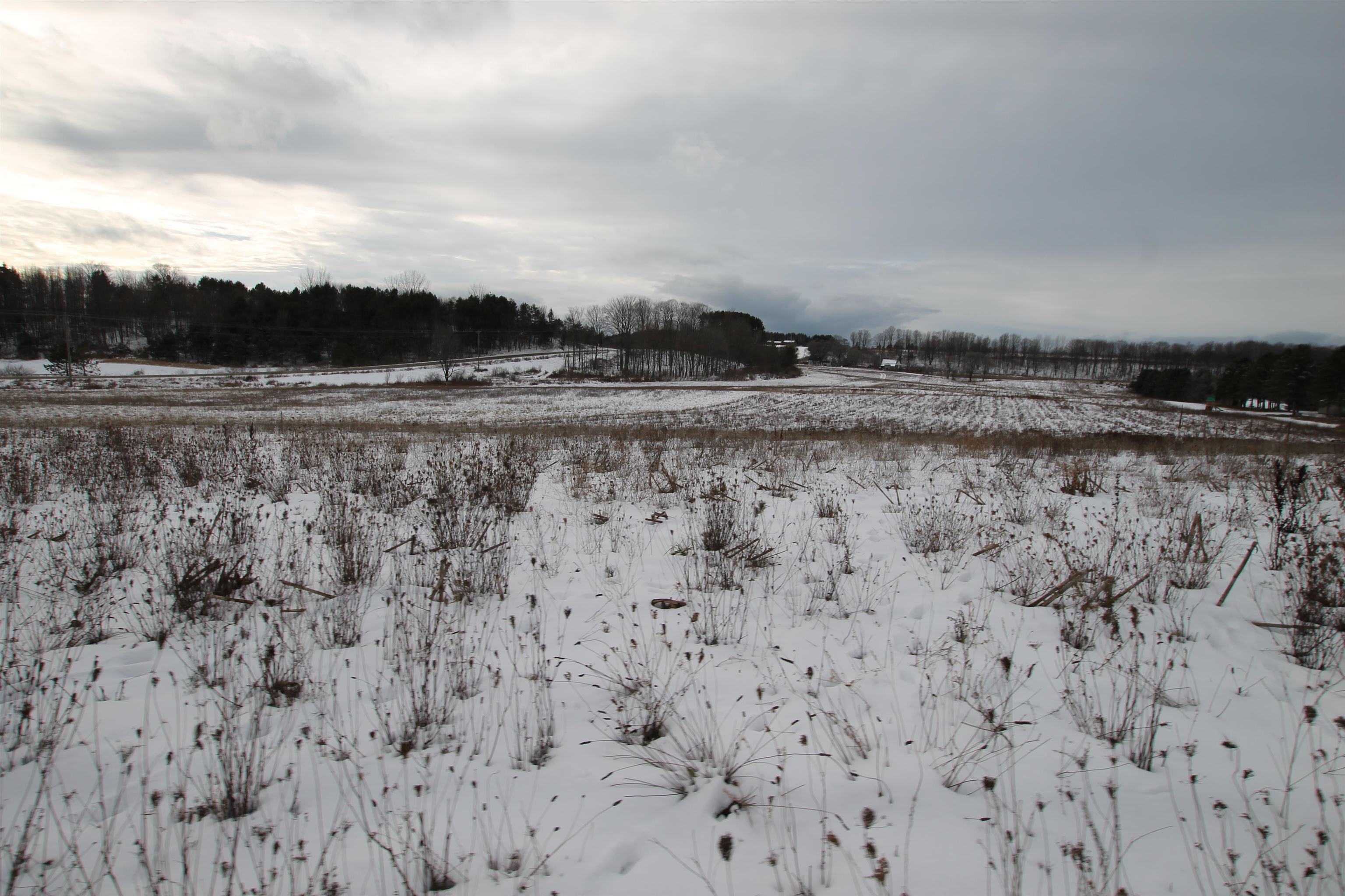 Tbd Tbd Atwood Road Ellsworth, MI 49729 - Photo 6 of 20