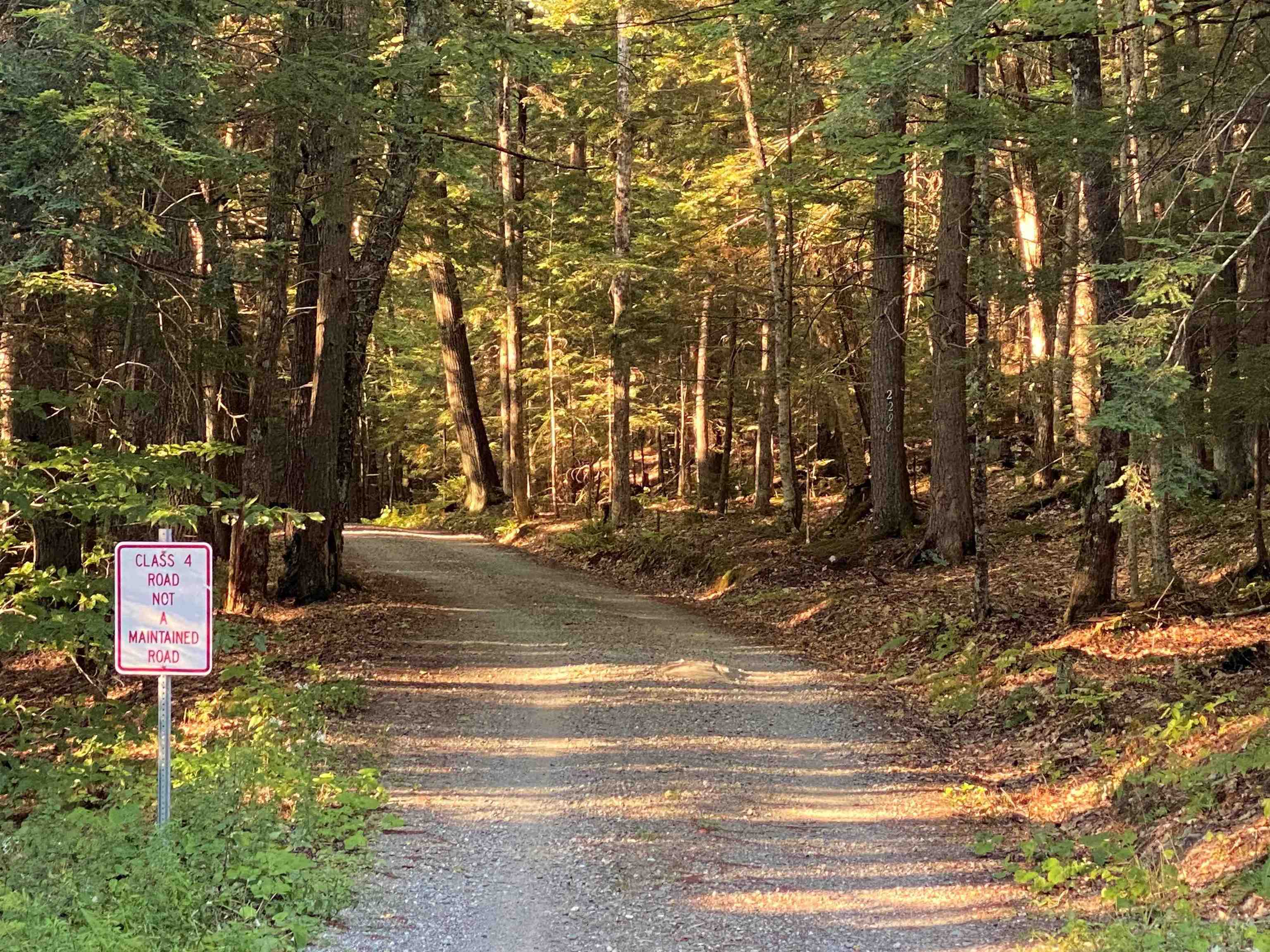 Turnpike Road South Fairlee, VT 05045 - Photo 2 of 7