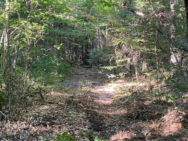 $225,000 | Turnpike Road South, Fairlee, VT 05045