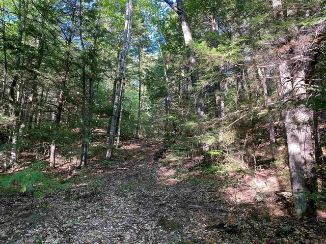 $225,000 | Turnpike Road South, Fairlee, VT 05045