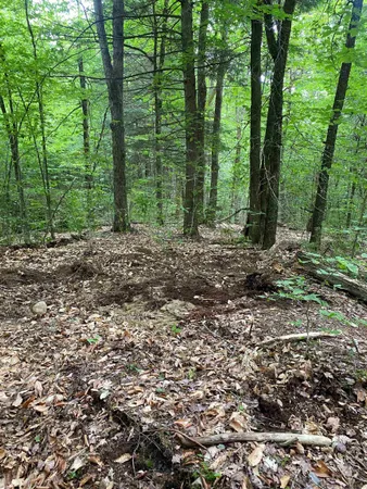 $225,000 | Turnpike Road South, Fairlee, VT 05045