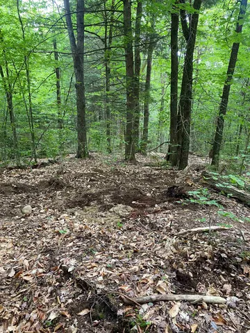 $225,000 | Turnpike Road South, Fairlee, VT 05045