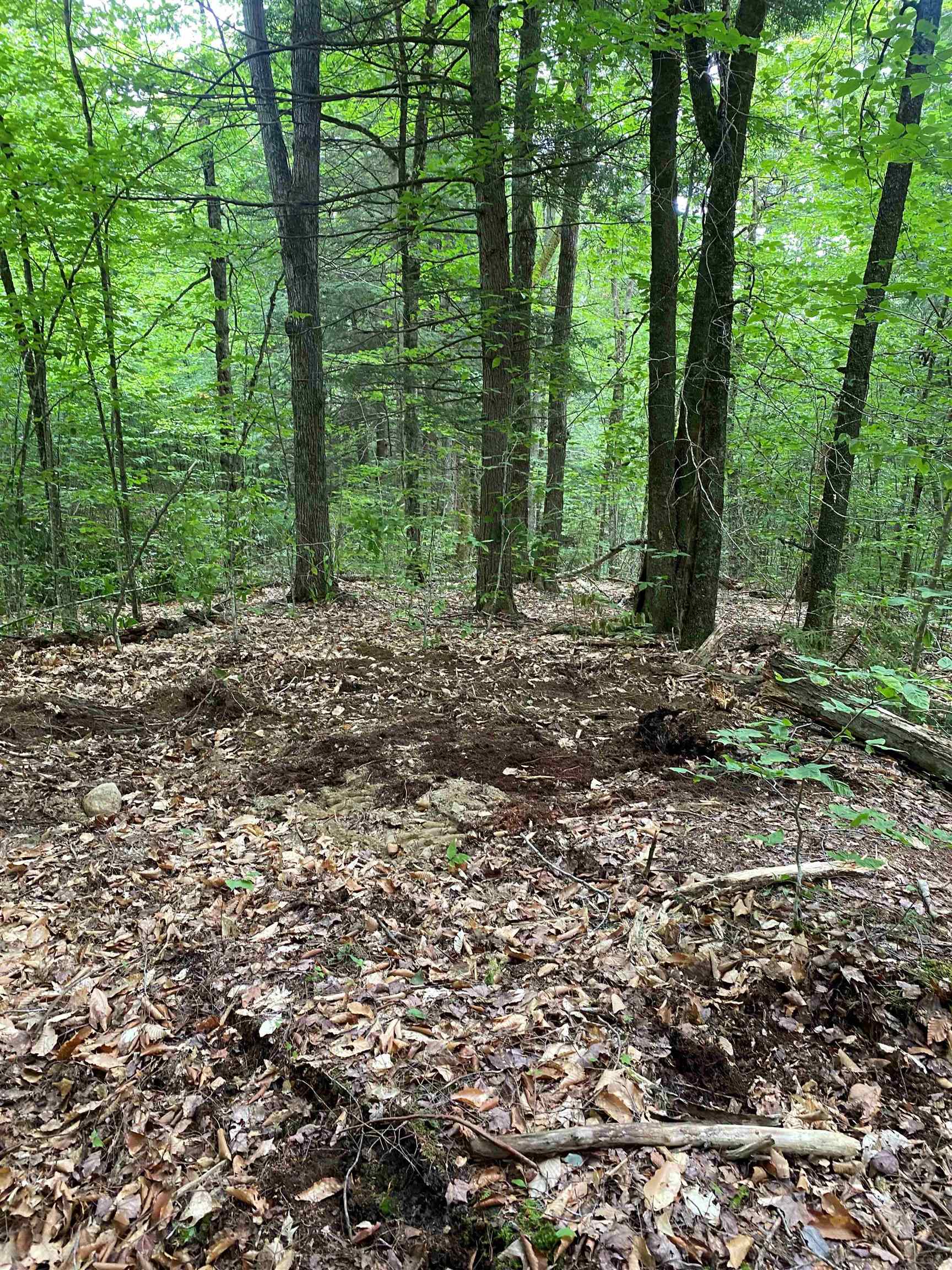 Turnpike Road South Fairlee, VT 05045 - Photo 6 of 7