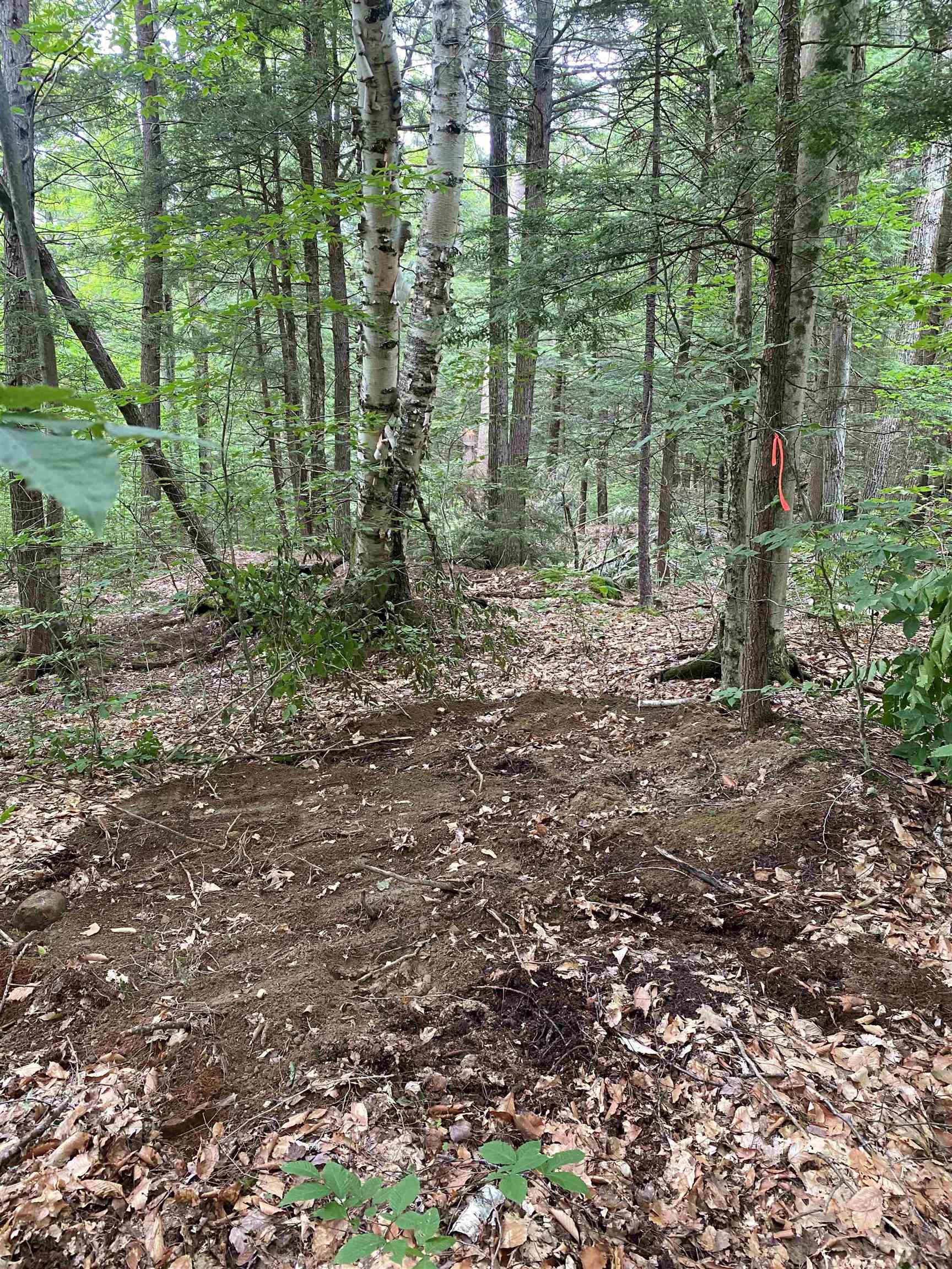 Turnpike Road South Fairlee, VT 05045 - Photo 7 of 7