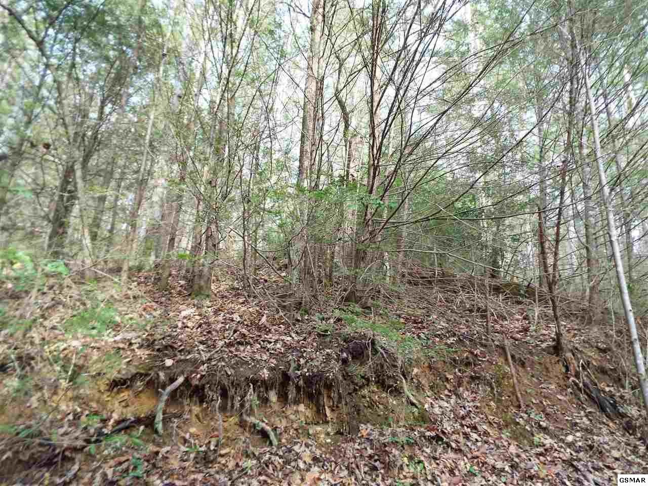 234 Yellow Breeches Road Cosby, TN 37722 - Photo 10 of 16 Gallery Image 10