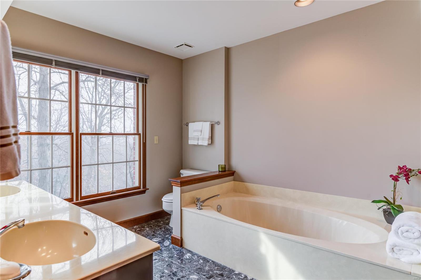 9779 Fall Ridge Trail St. Louis, MO 63127 - Photo 28 of 54 Gallery Image 28