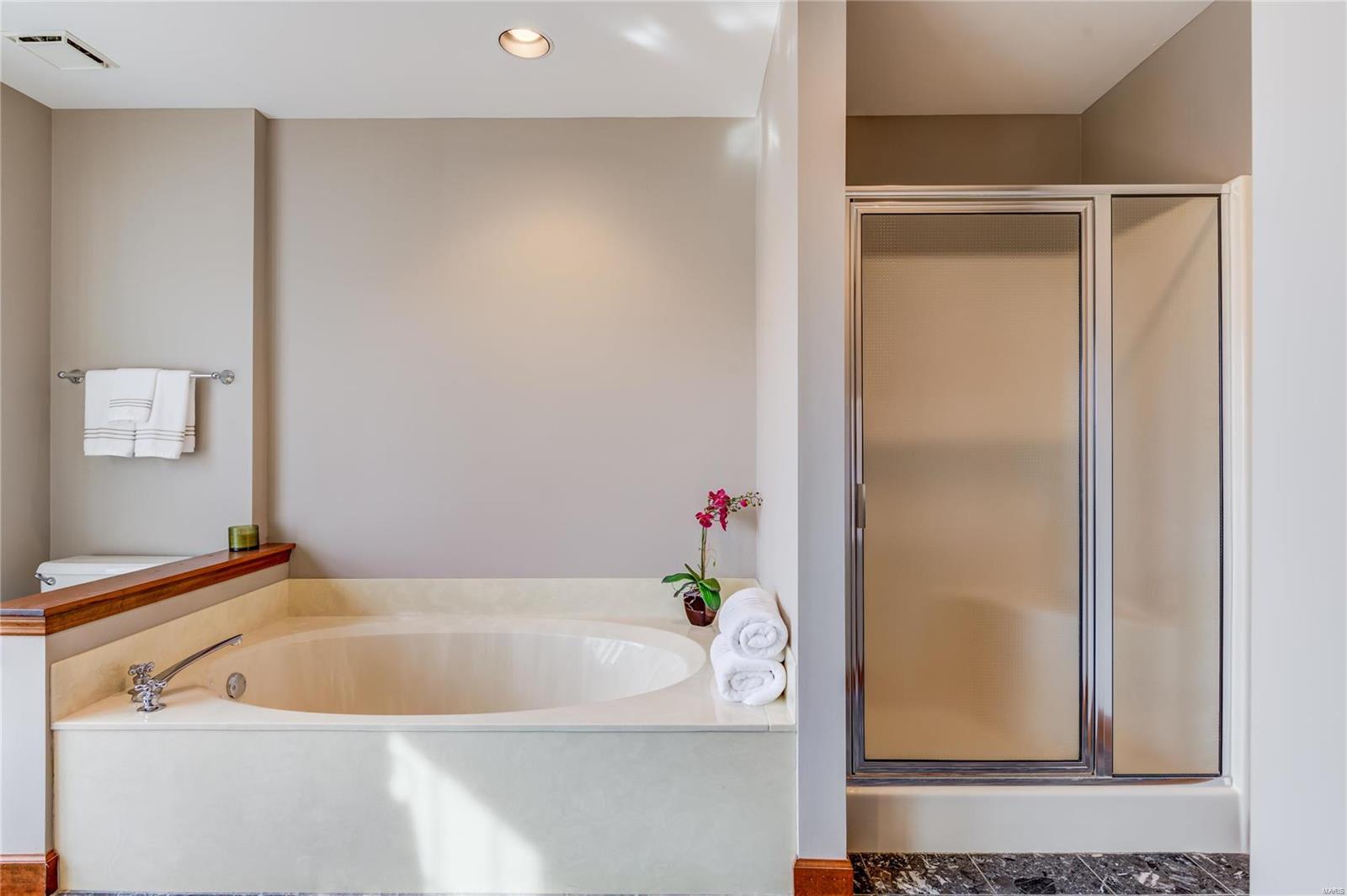 9779 Fall Ridge Trail St. Louis, MO 63127 - Photo 30 of 54 Gallery Image 30