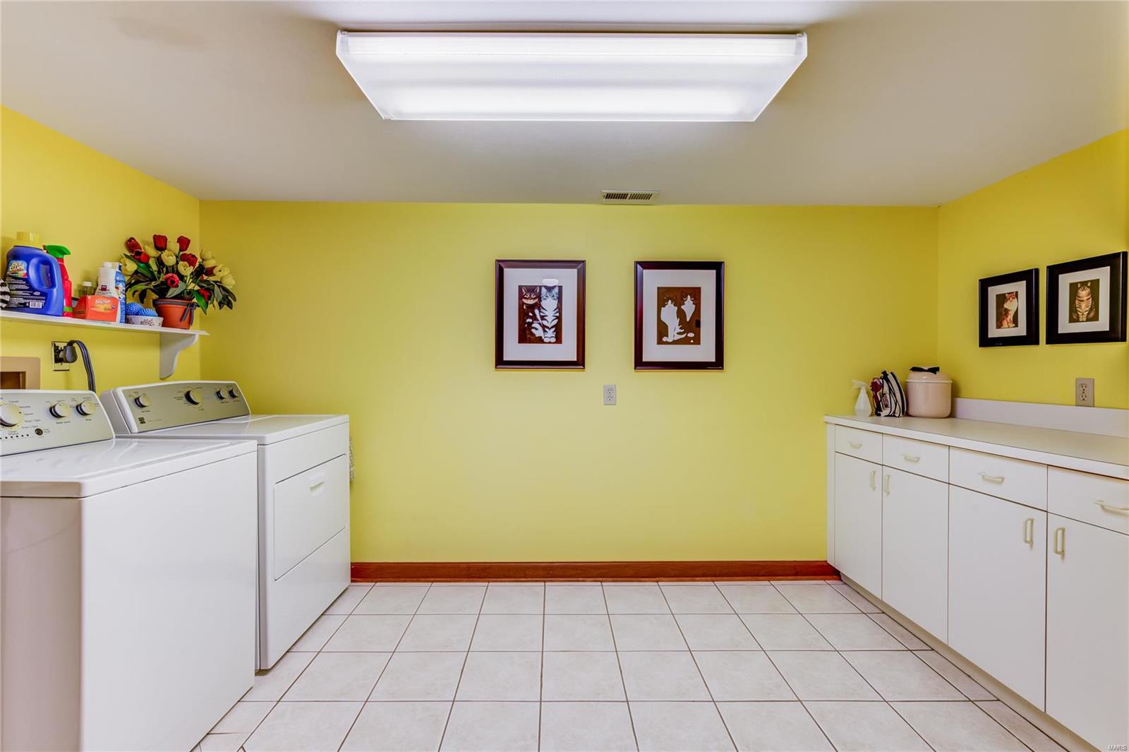9779 Fall Ridge Trail St. Louis, MO 63127 - Photo 45 of 54 Gallery Image 45