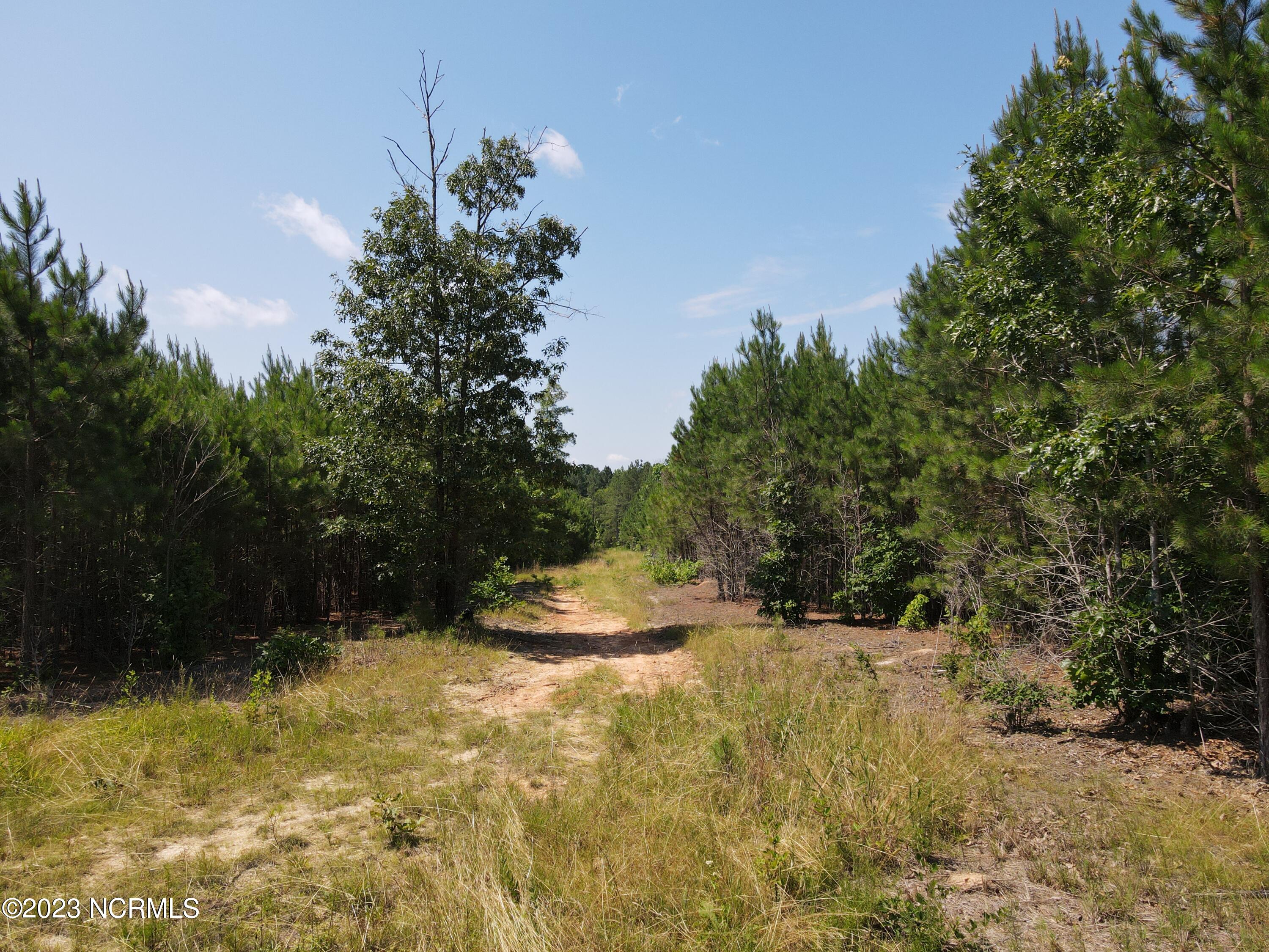 472 Eaton Ferry Road Littleton, NC 27850 - Photo 24 of 86 EFR 8