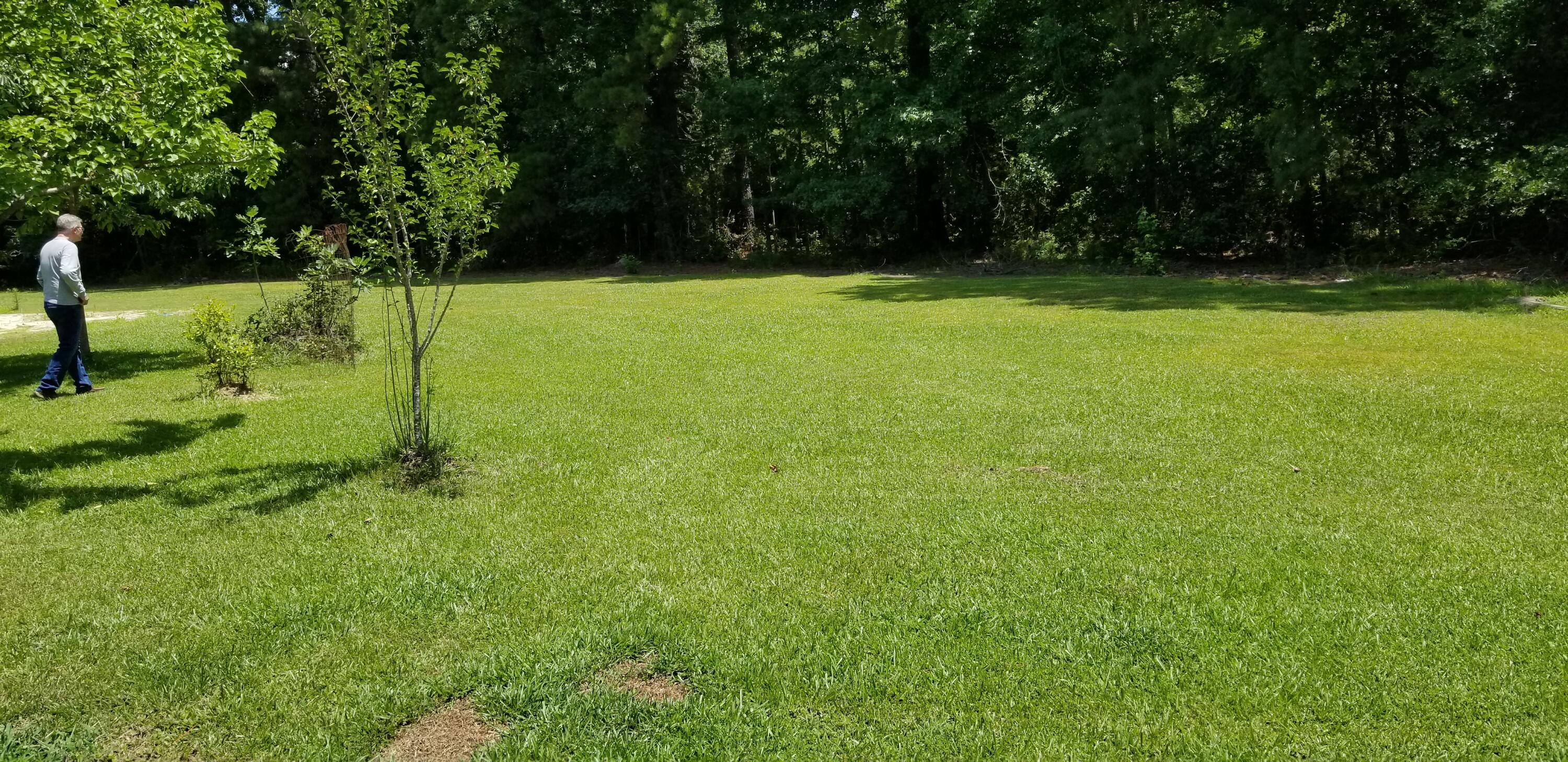 1906 Low Country Highway Ehrhardt, SC 29081 - Photo 16 of 18 20250628_124144