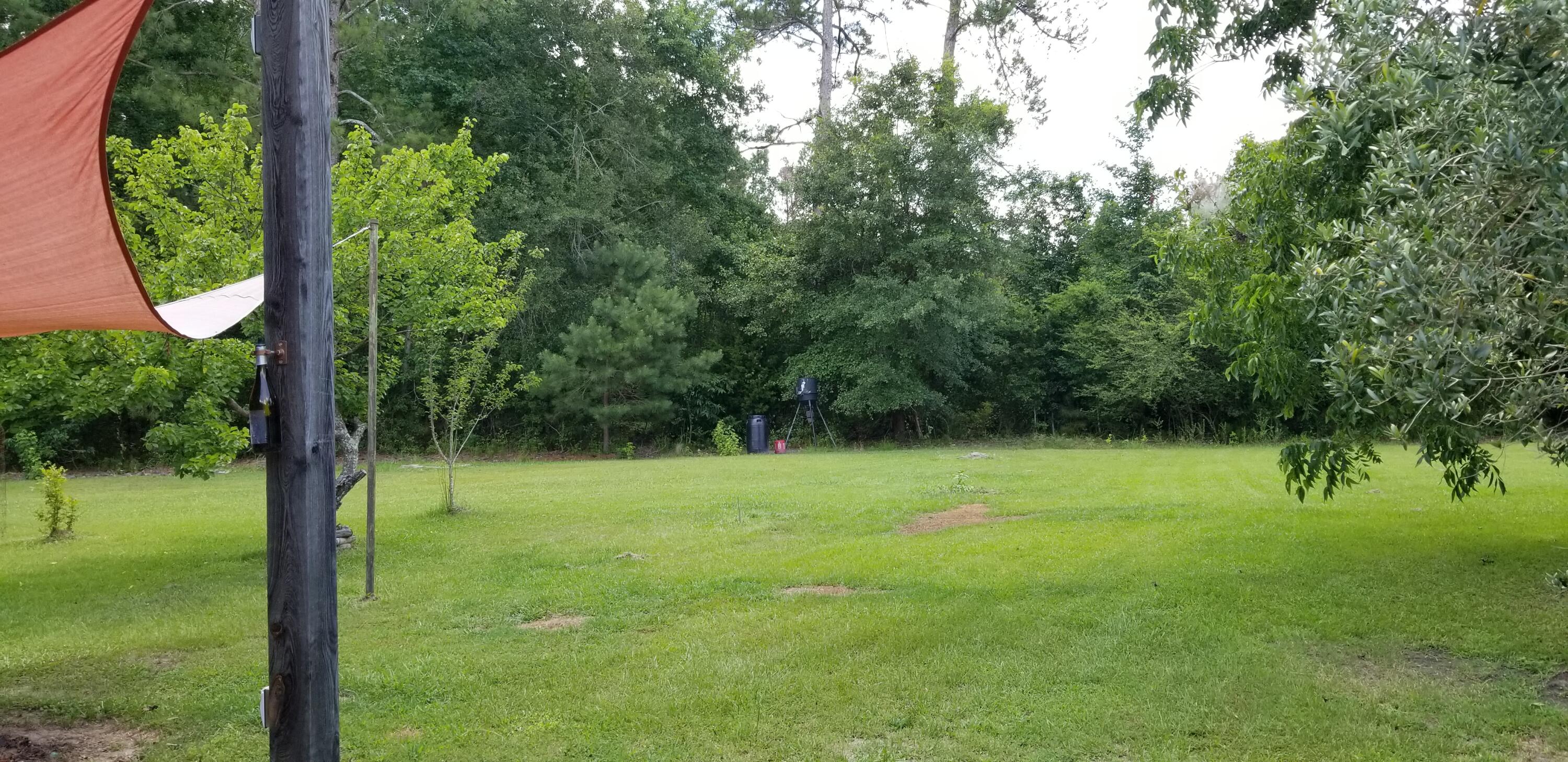 1906 Low Country Highway Ehrhardt, SC 29081 - Photo 18 of 18 20250628_124029