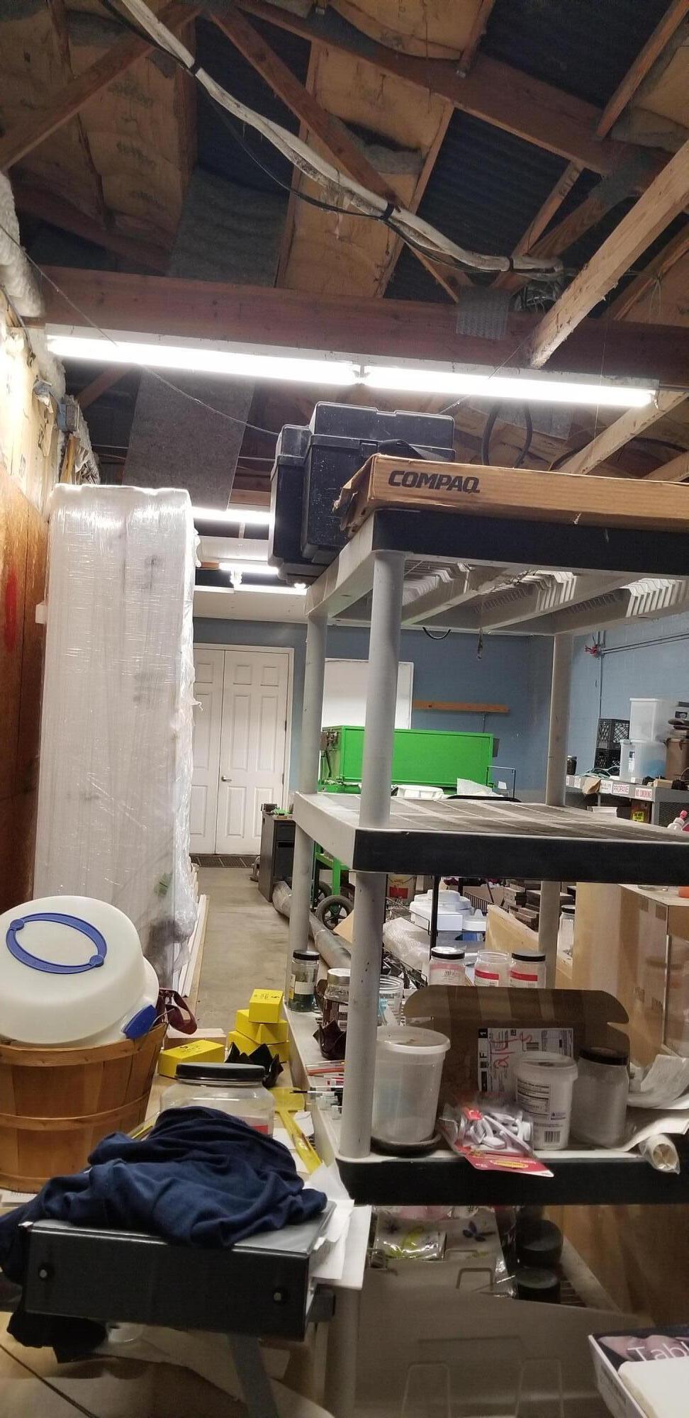 1906 Low Country Highway Ehrhardt, SC 29081 - Photo 6 of 18 20250628_123806