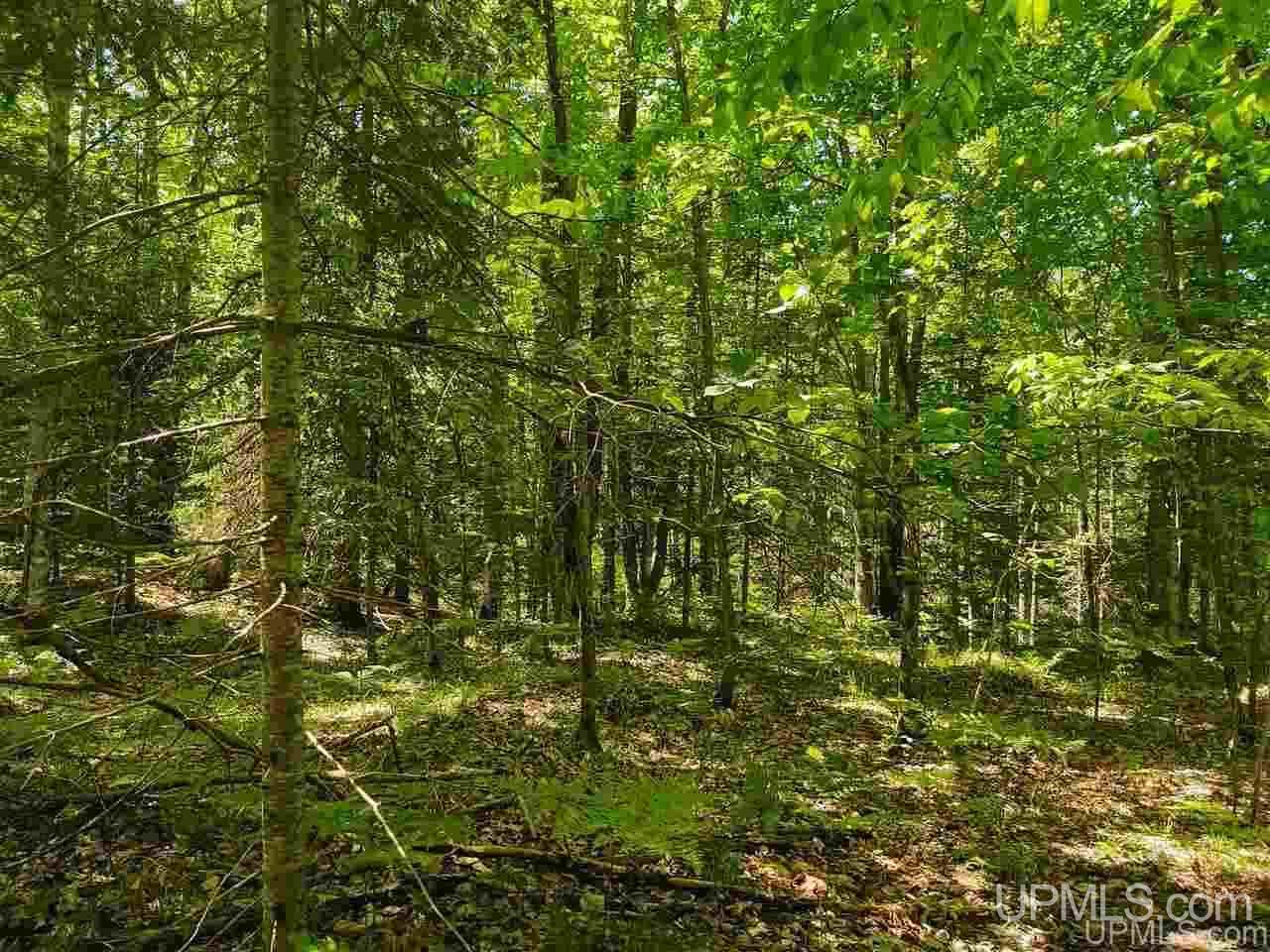 Tbd Tbd Indian Cemetery Road Lanse, MI 49946 - Photo 22 of 40