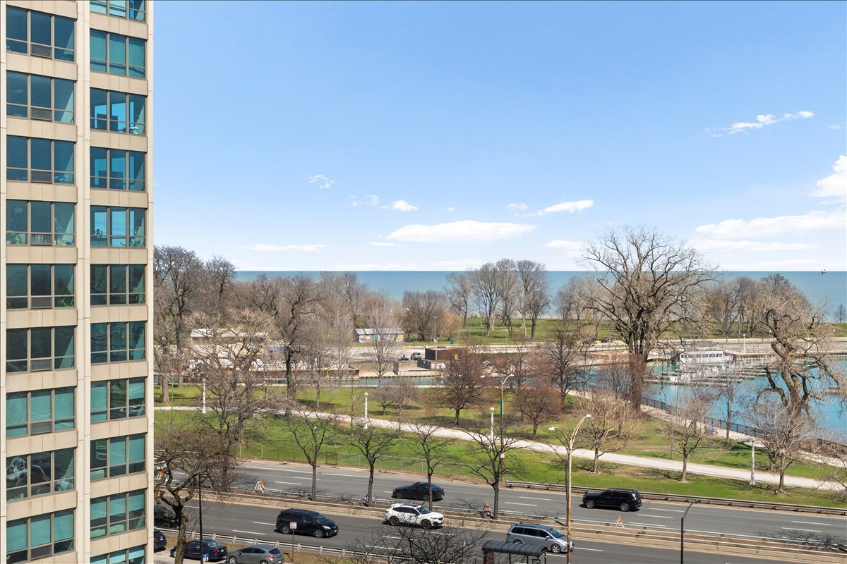 525 West Hawthorne Place, Unit 808 Chicago, IL 60657 - Photo 20 of 29 a view of a city