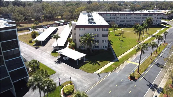 a view of a swimming pool with a lawn chairs under palm trees