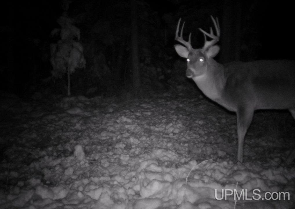Tbd Irwin Road Baraga, MI 49908 - Photo 2 of 27