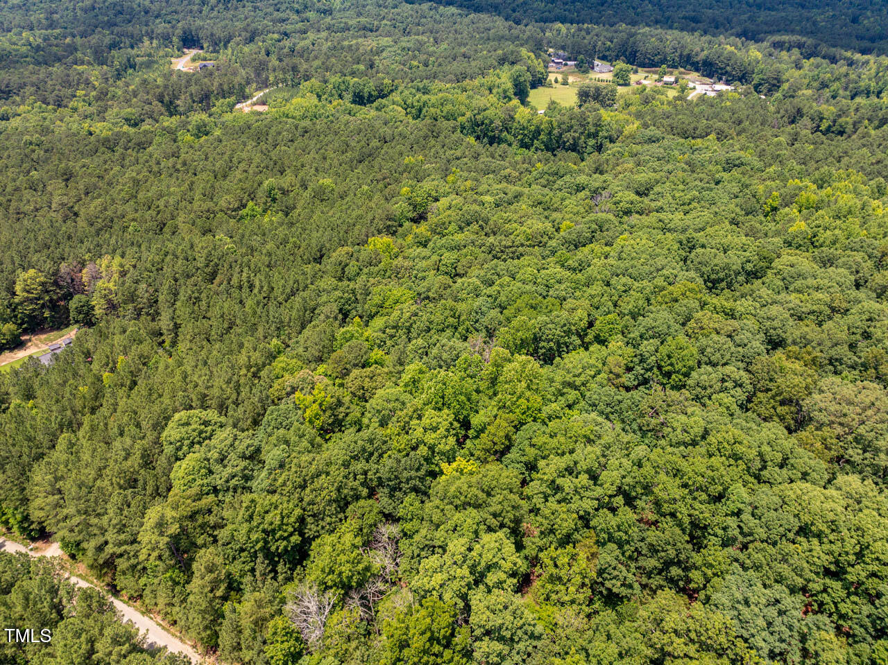 0 Walnut Br Road Chapel Hill, NC 27516 - Photo 3 of 5 a view of a bunch of trees and bushes