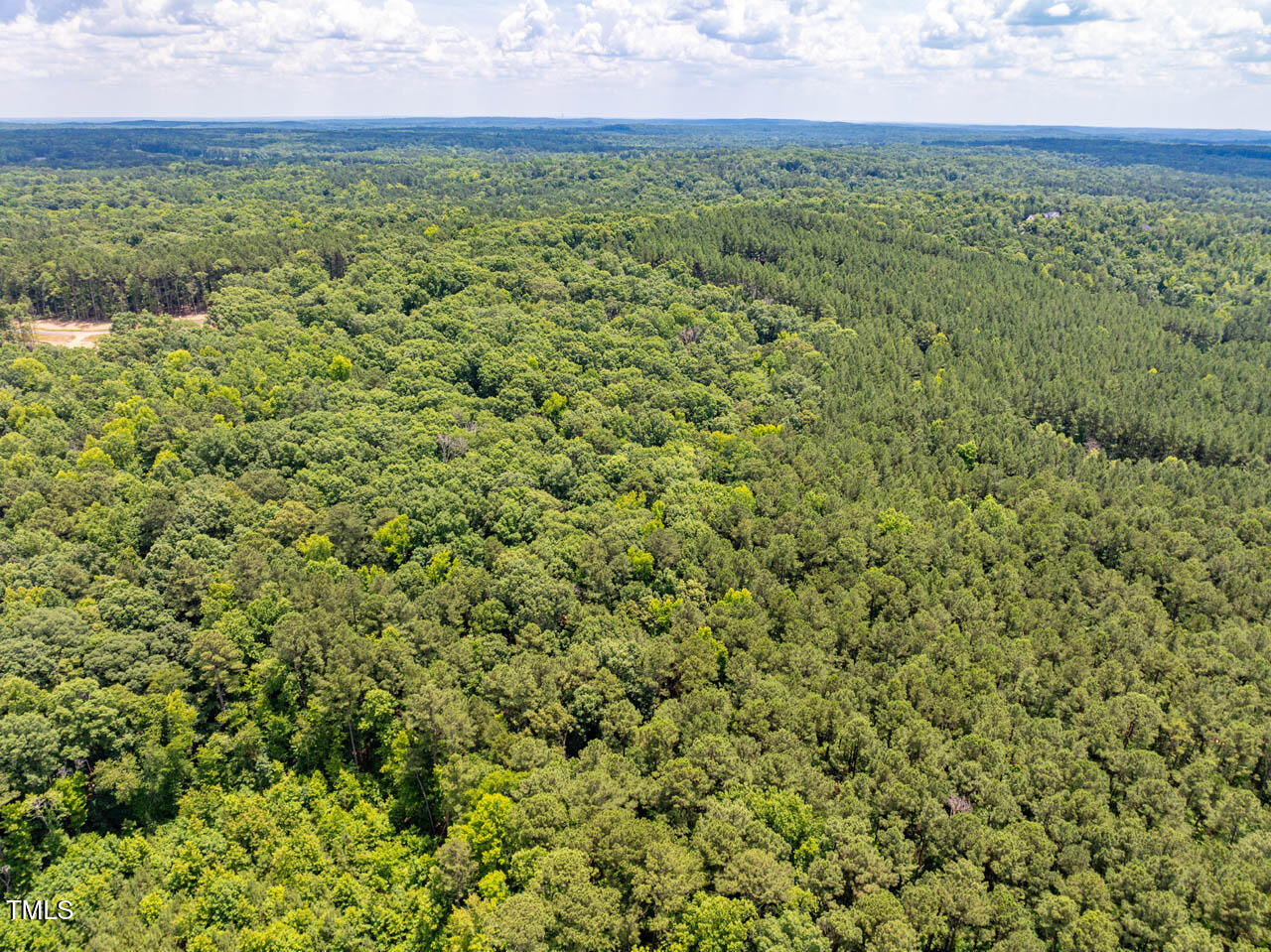 0 Walnut Br Road Chapel Hill, NC 27516 - Photo 4 of 5 a view of a big yard with plants and a bench