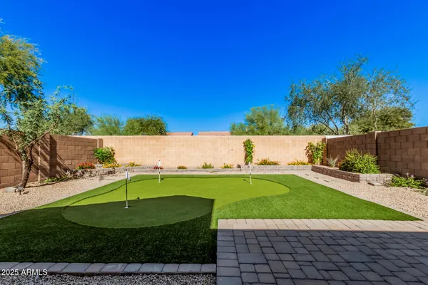 a view of a yard with plants and a palm tree