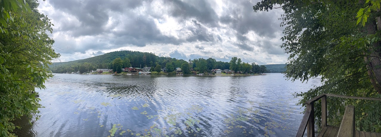 138 Vito Molinari Road Oneonta, NY 13820 - Photo 8 of 37 across the lake