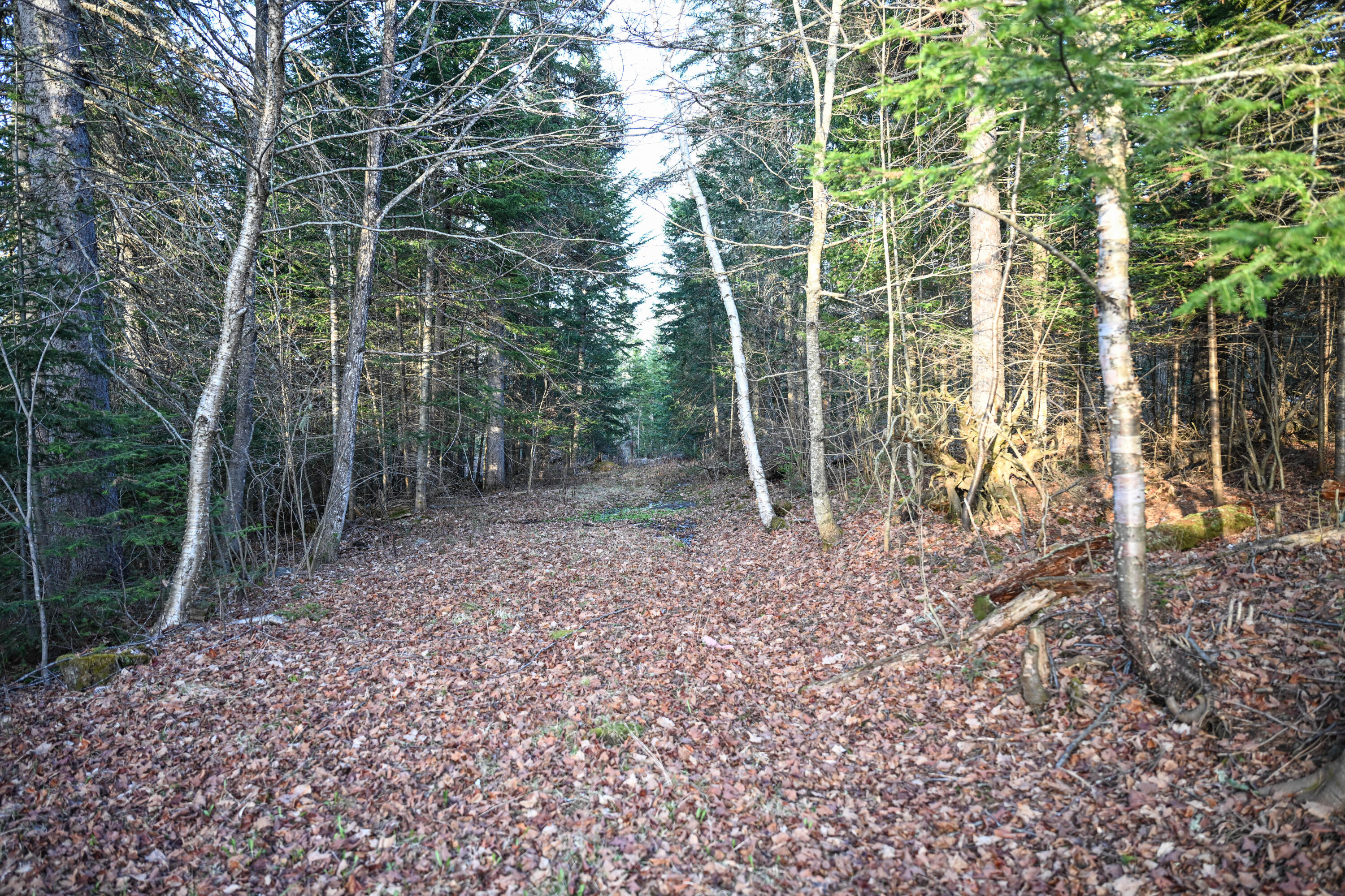 537 Dallas Hill Road Dallas Plt, ME 04970 - Photo 24 of 43 25