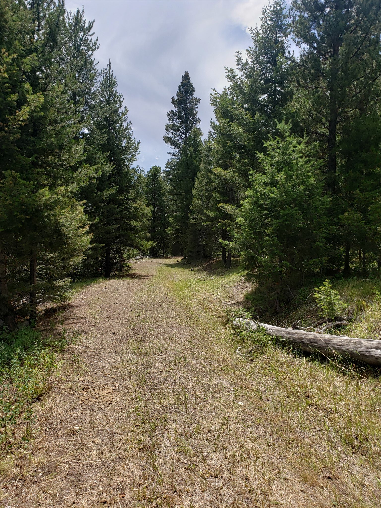 300 Hematite Road Gold Creek, MT 59733 - Photo 27 of 30 Gallery Image 27