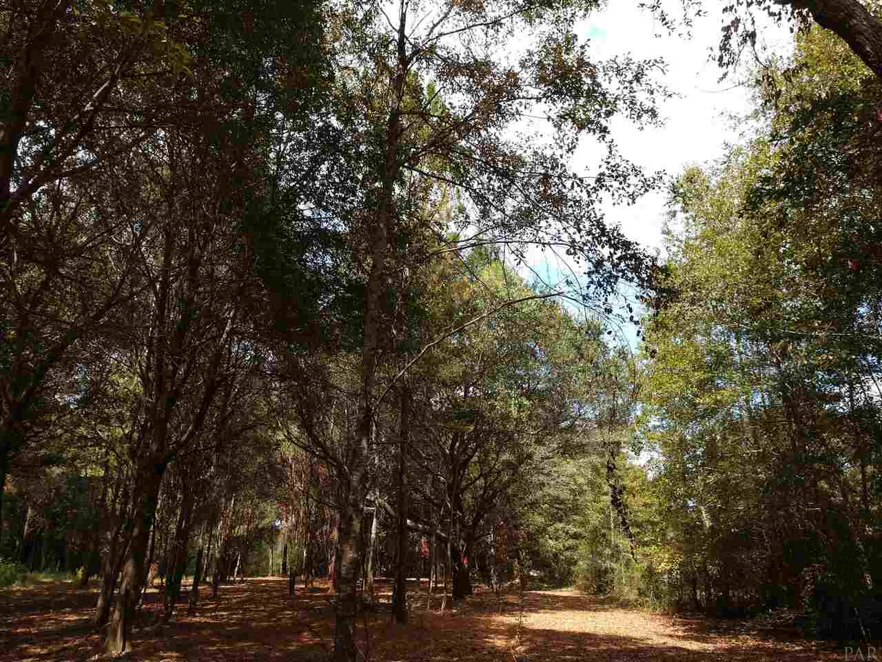 3894 B Fox Road Pace, FL 32571 - Photo 3 of 8 Gallery Image 3